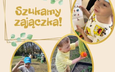 Poszukiwania Zajączka
